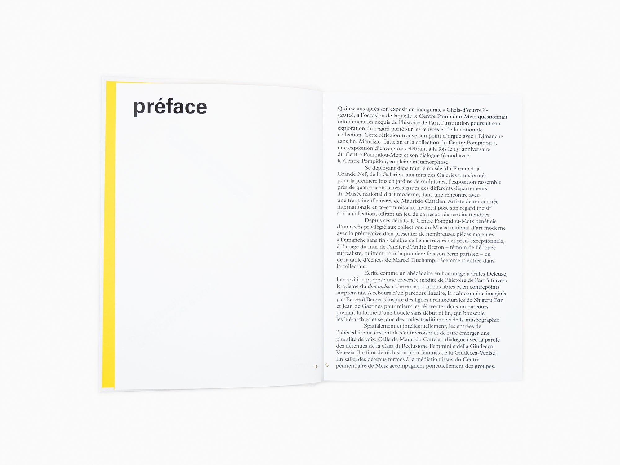 Maurizio Cattelan - Dimanche sans fin (catalogue Centre Pompidou Metz)