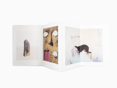 Maurizio Cattelan - Le Dictateur - FAQ