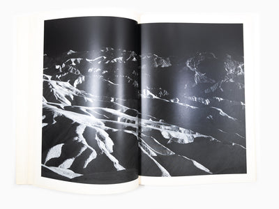 Maurizio Cattelan - Le Dictateur 02