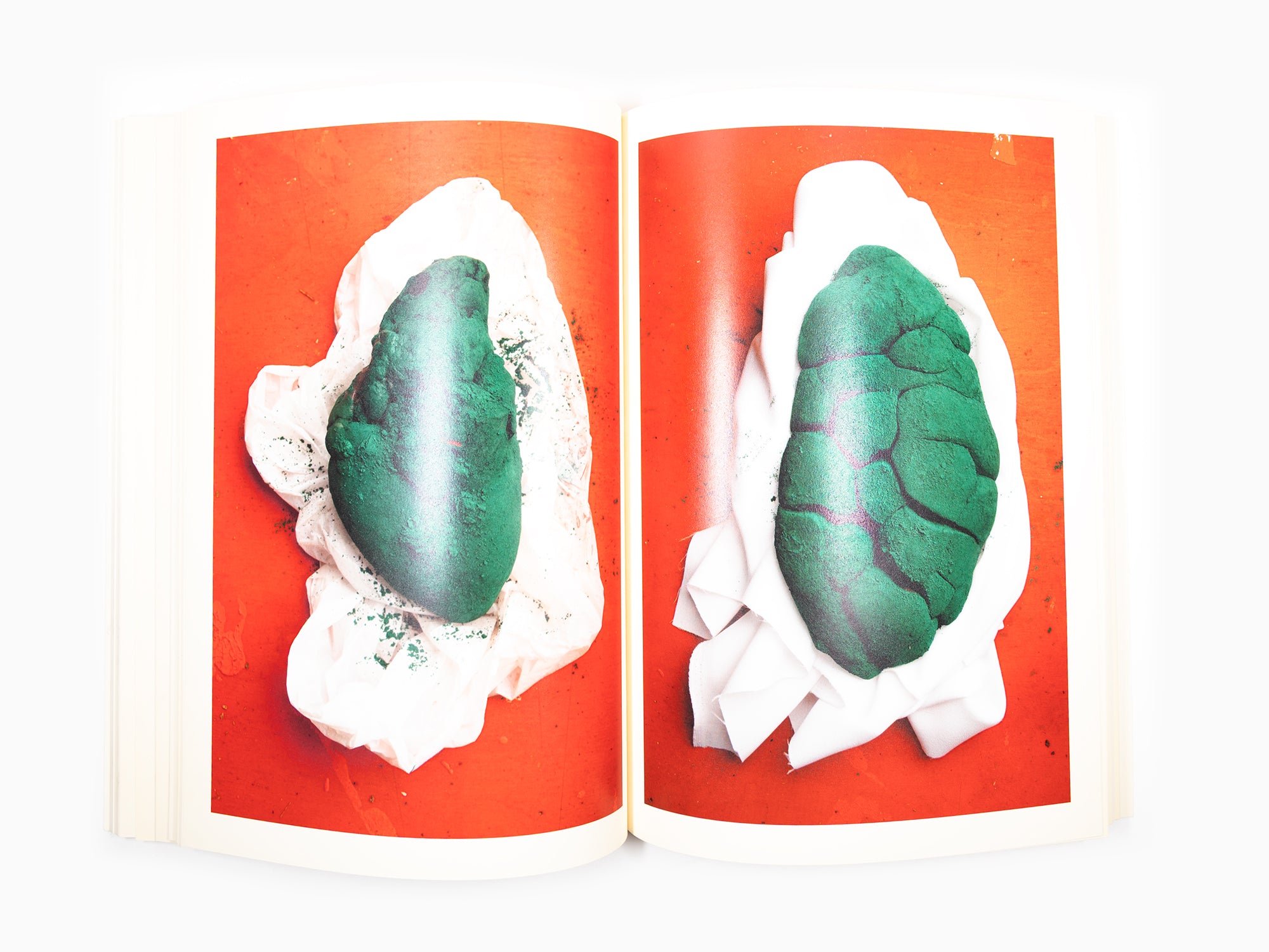 Maurizio Cattelan - Le Dictateur 04