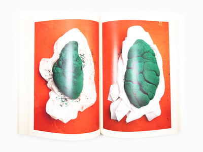 Maurizio Cattelan - Le Dictateur 04