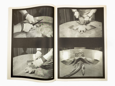 Maurizio Cattelan - Le Dictateur: Solid Sweat