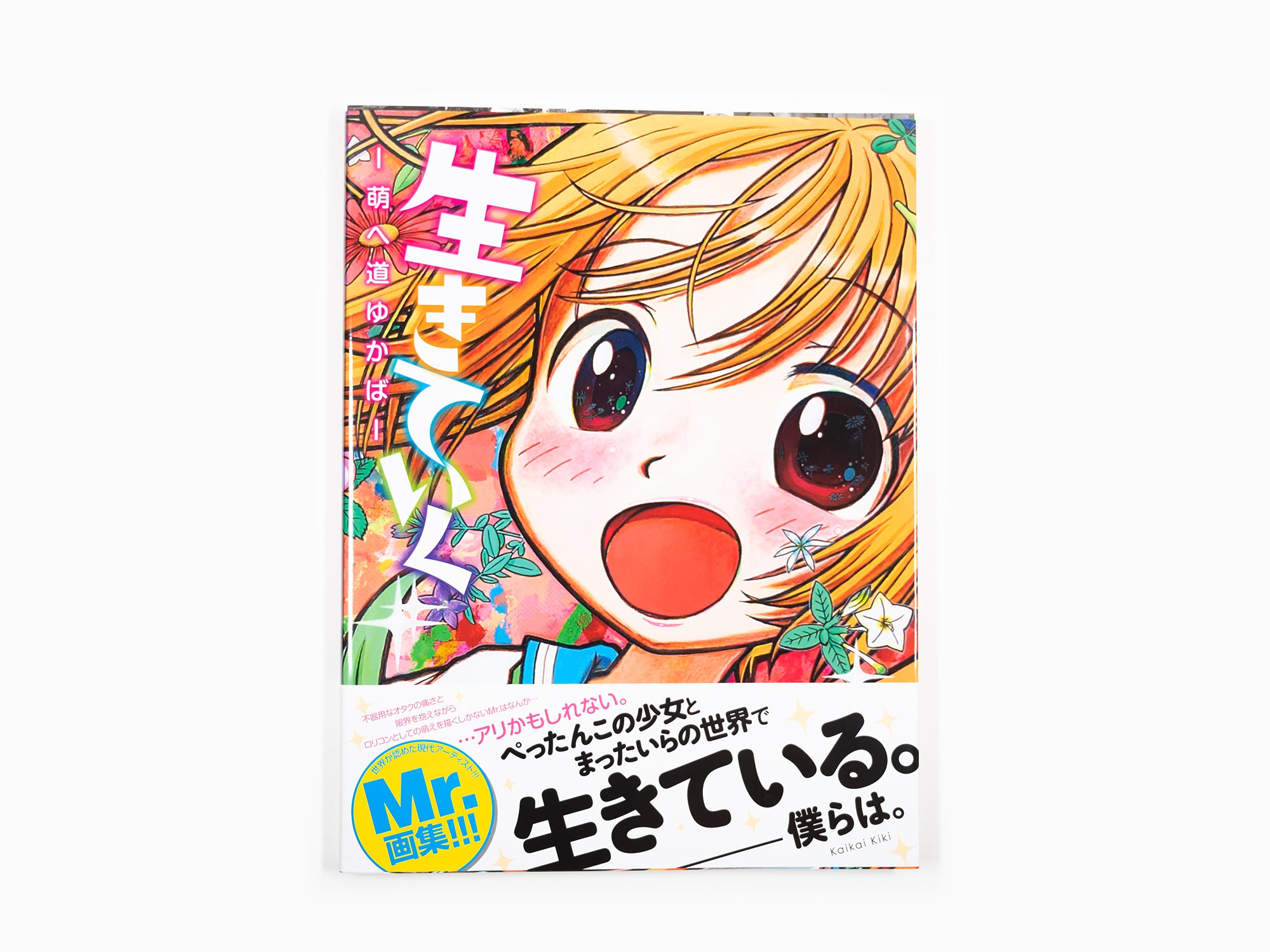 Mr. - Art book ikiteiku moe michi yukaba