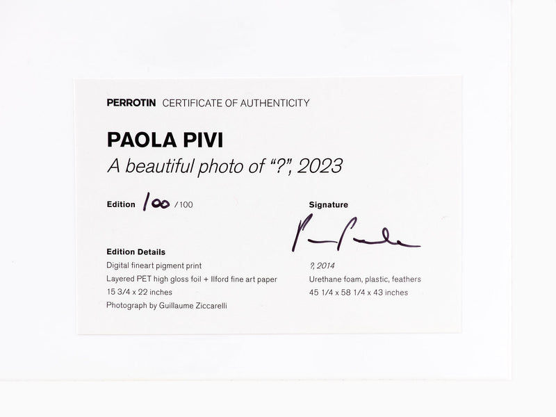 Paola Pivi - A beautiful photo of "?", 2023