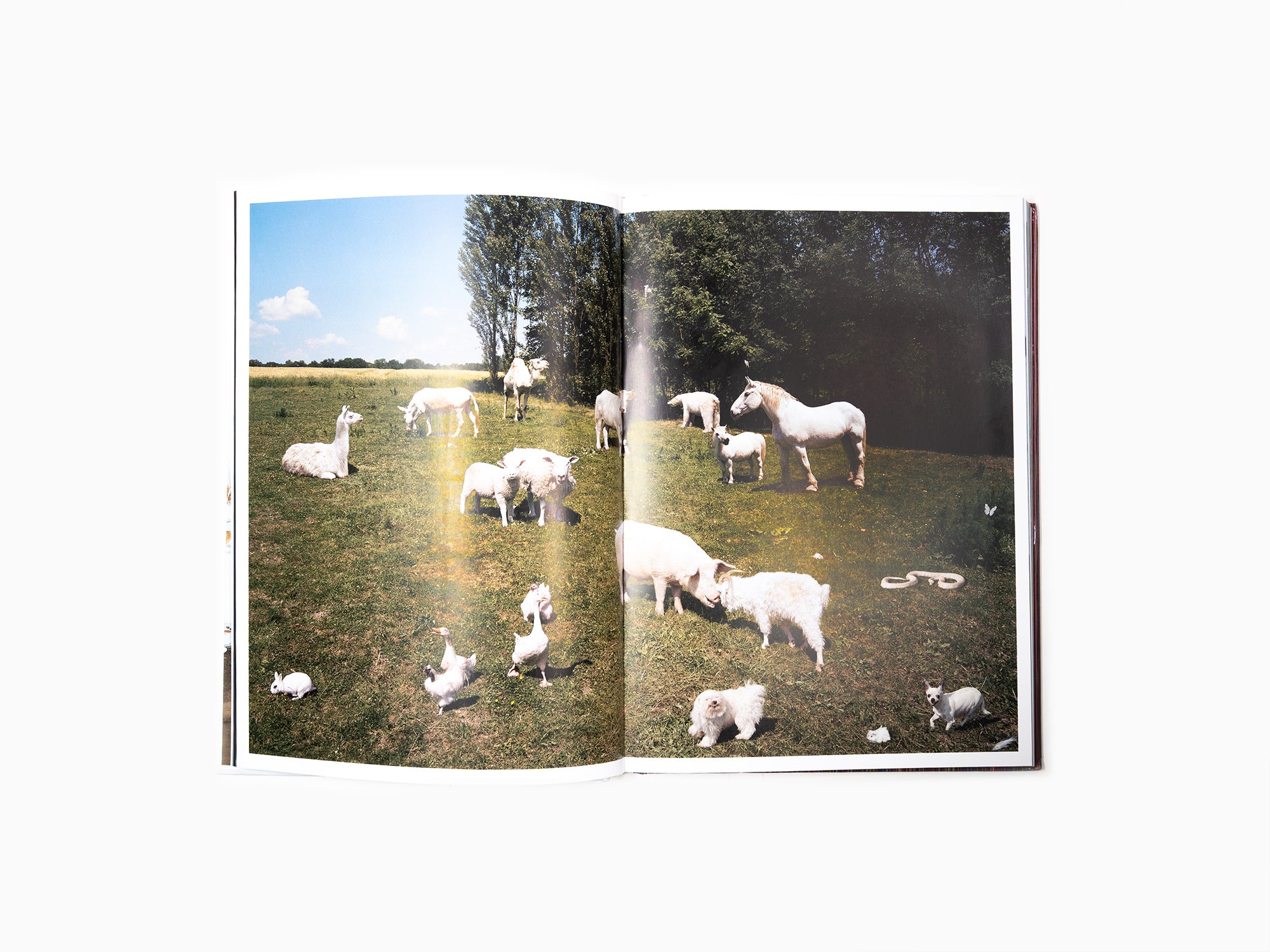 Paola Pivi - It just keeps getting better