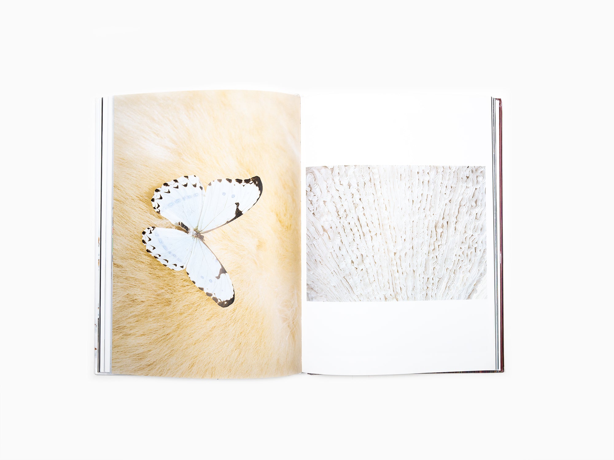 Paola Pivi - It just keeps getting better