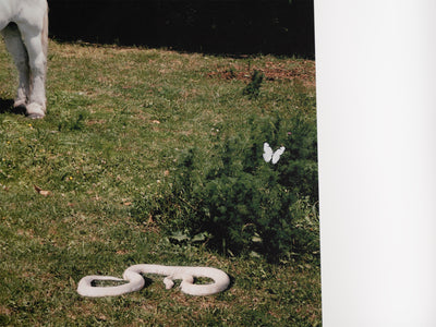 Paola Pivi - One love