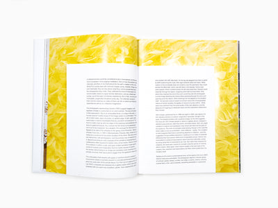 Paola Pivi - Perrotin monographie