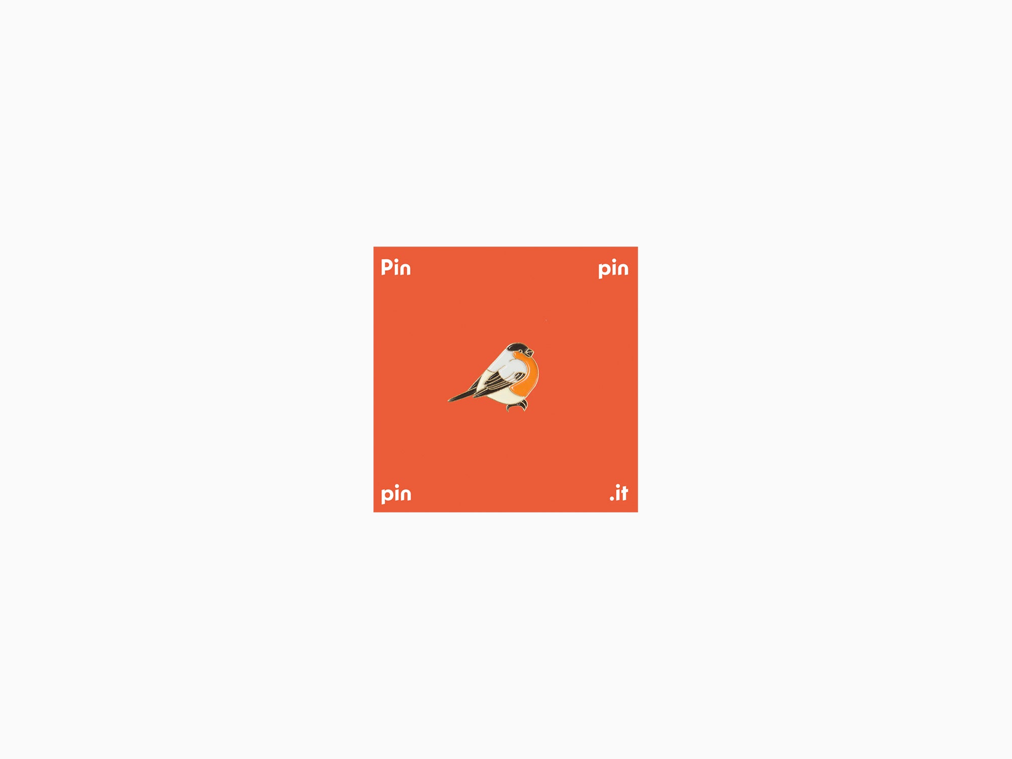Pin's Bullfinch - Moscow collection