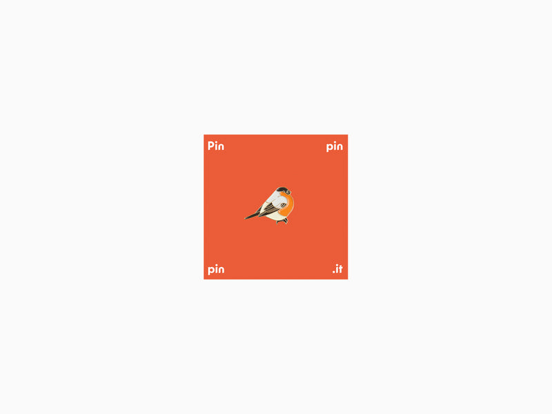 Pin's Bullfinch - Moscow collection