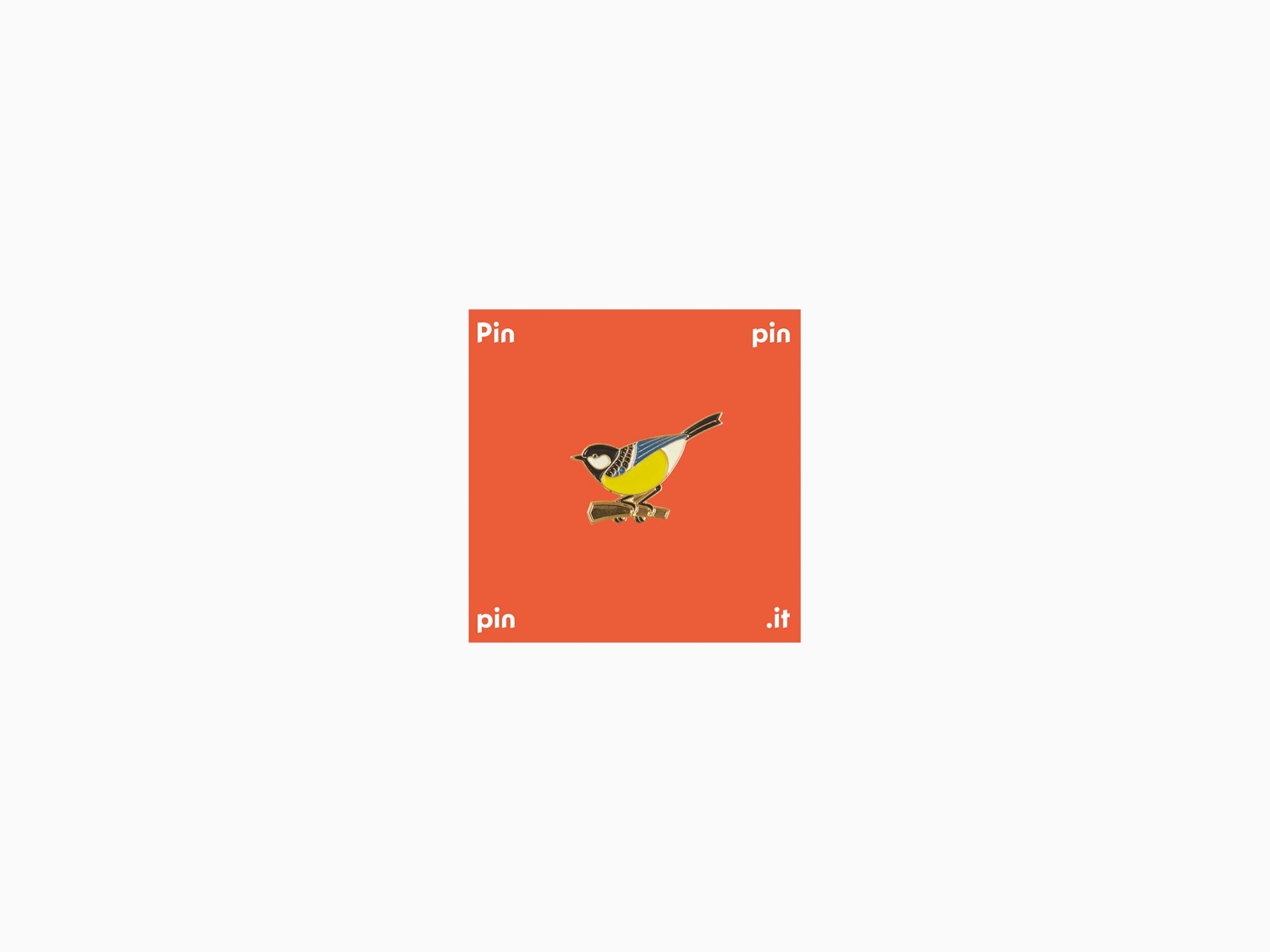 Pin's Titmouse - Moscow collection