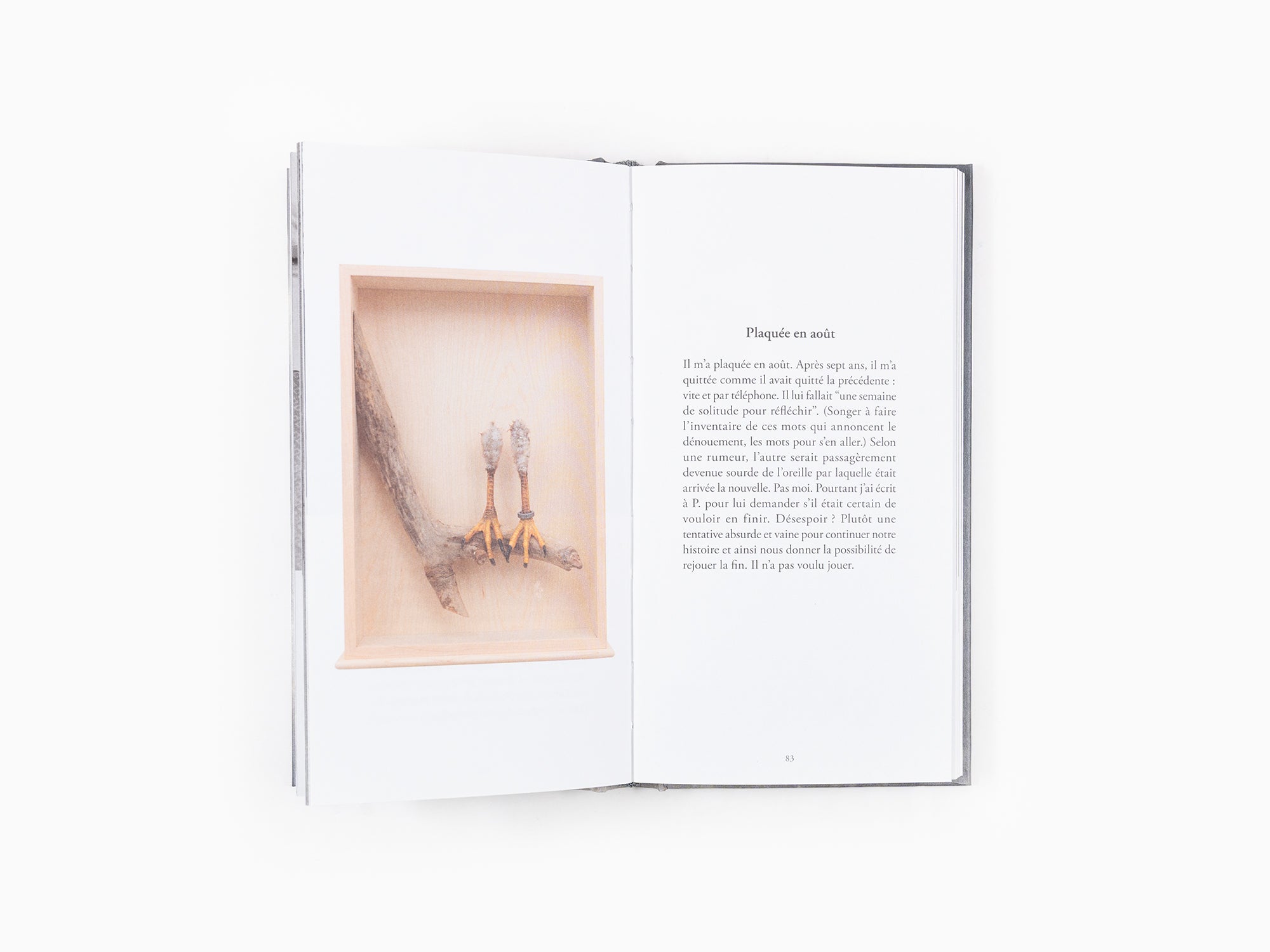 Sophie Calle - Des Histoires Vraies (2026)