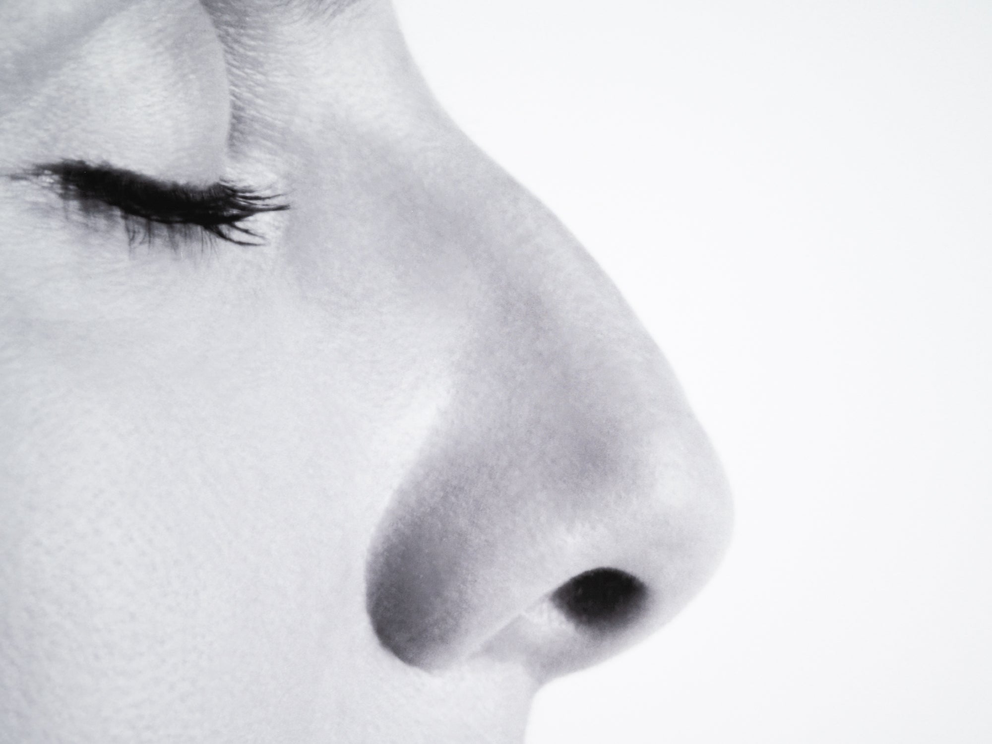 Sophie Calle - Le nez