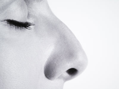 Sophie Calle - Le nez