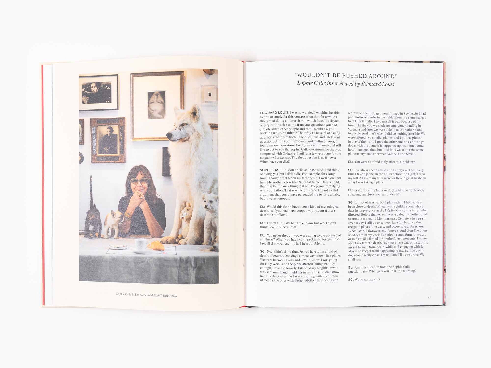 Sophie Calle - Something Missing?