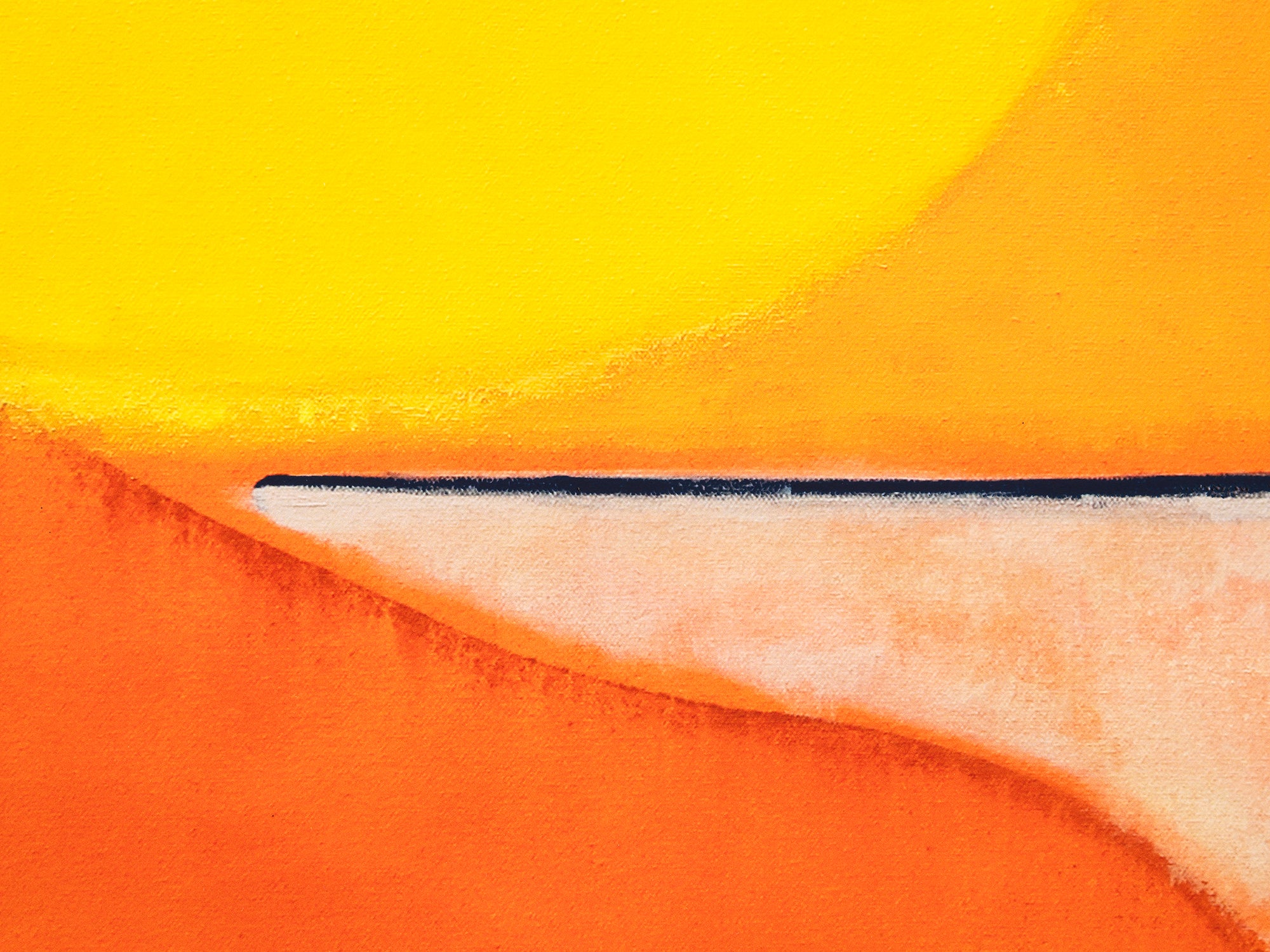 Susumu Kamijo - Les fleurs des vagues