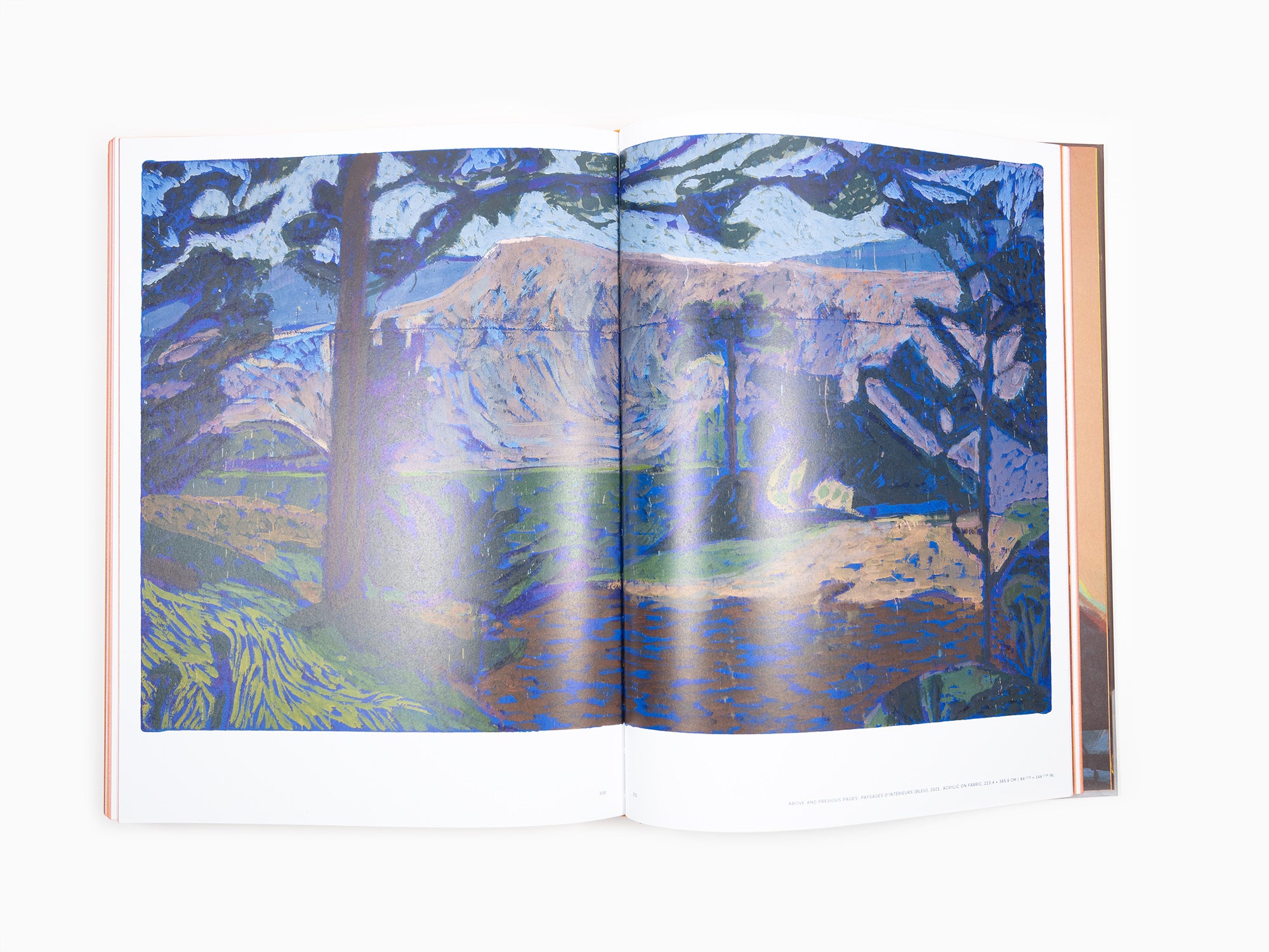 Claire Tabouret - Perrotin monograph (Revised and expanded edition)