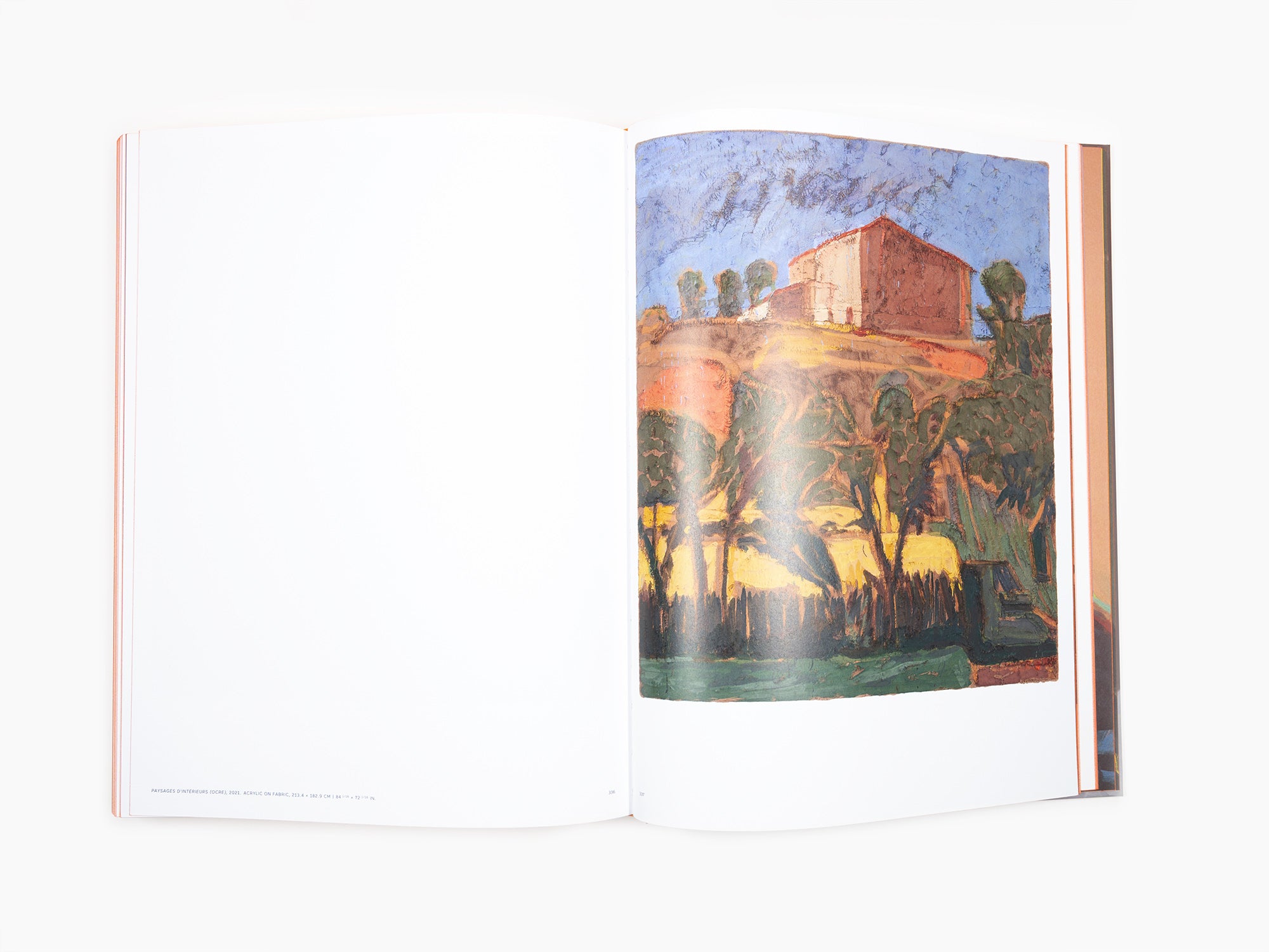 Claire Tabouret - Perrotin monograph (Revised and expanded edition)