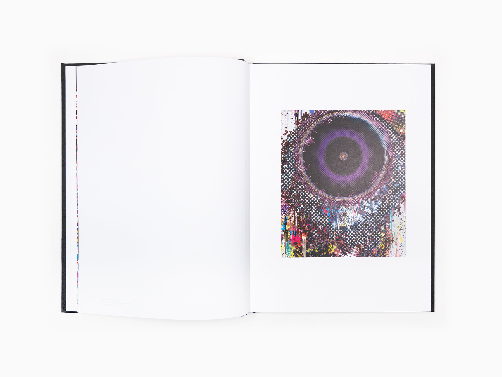 Takashi Murakami - Enso 1