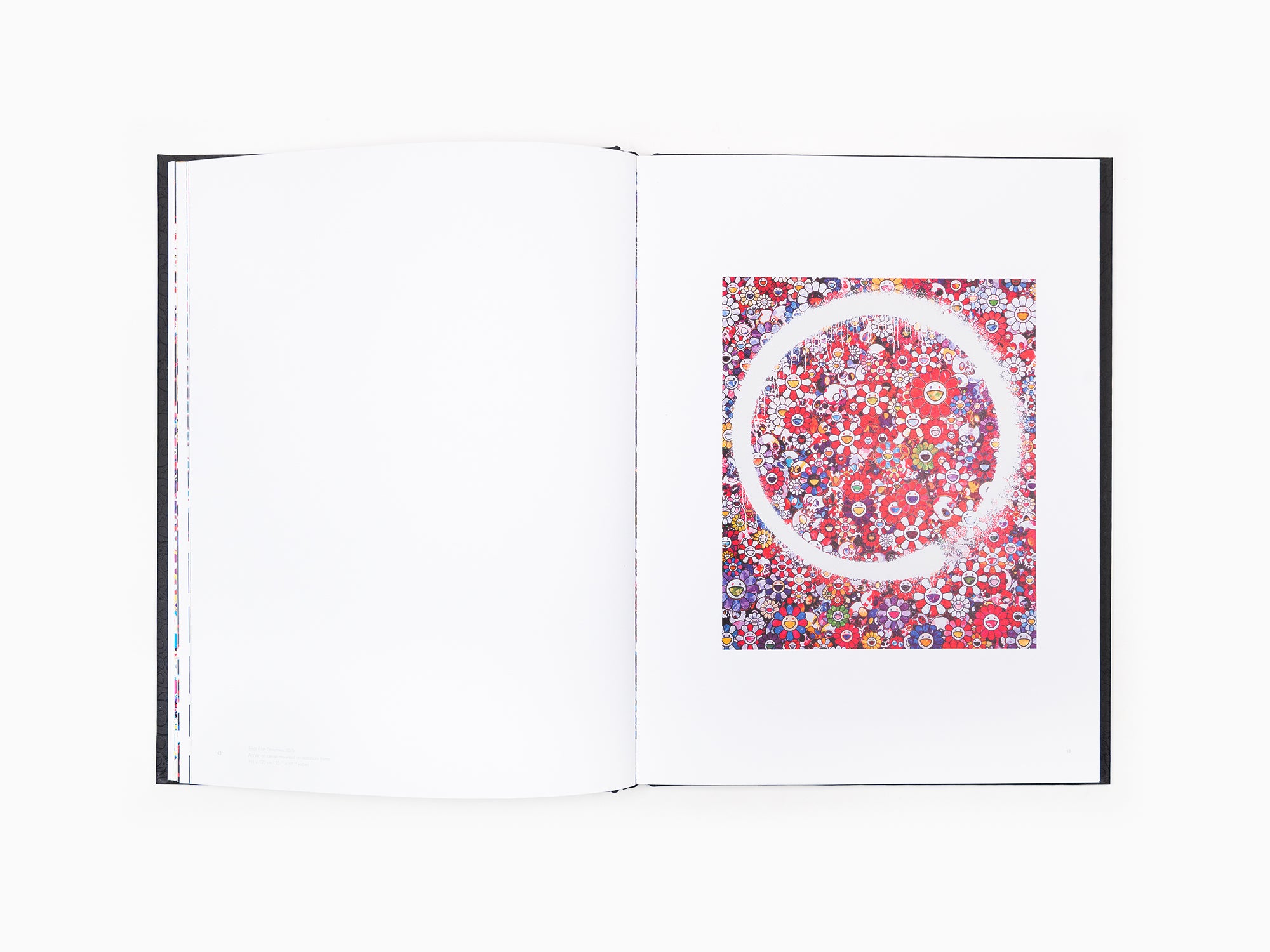 Takashi Murakami - Enso 1