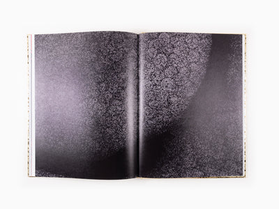 Takashi Murakami - Enso 2