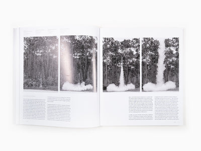 Tavares Strachan - Phaidon Monograph (FR)