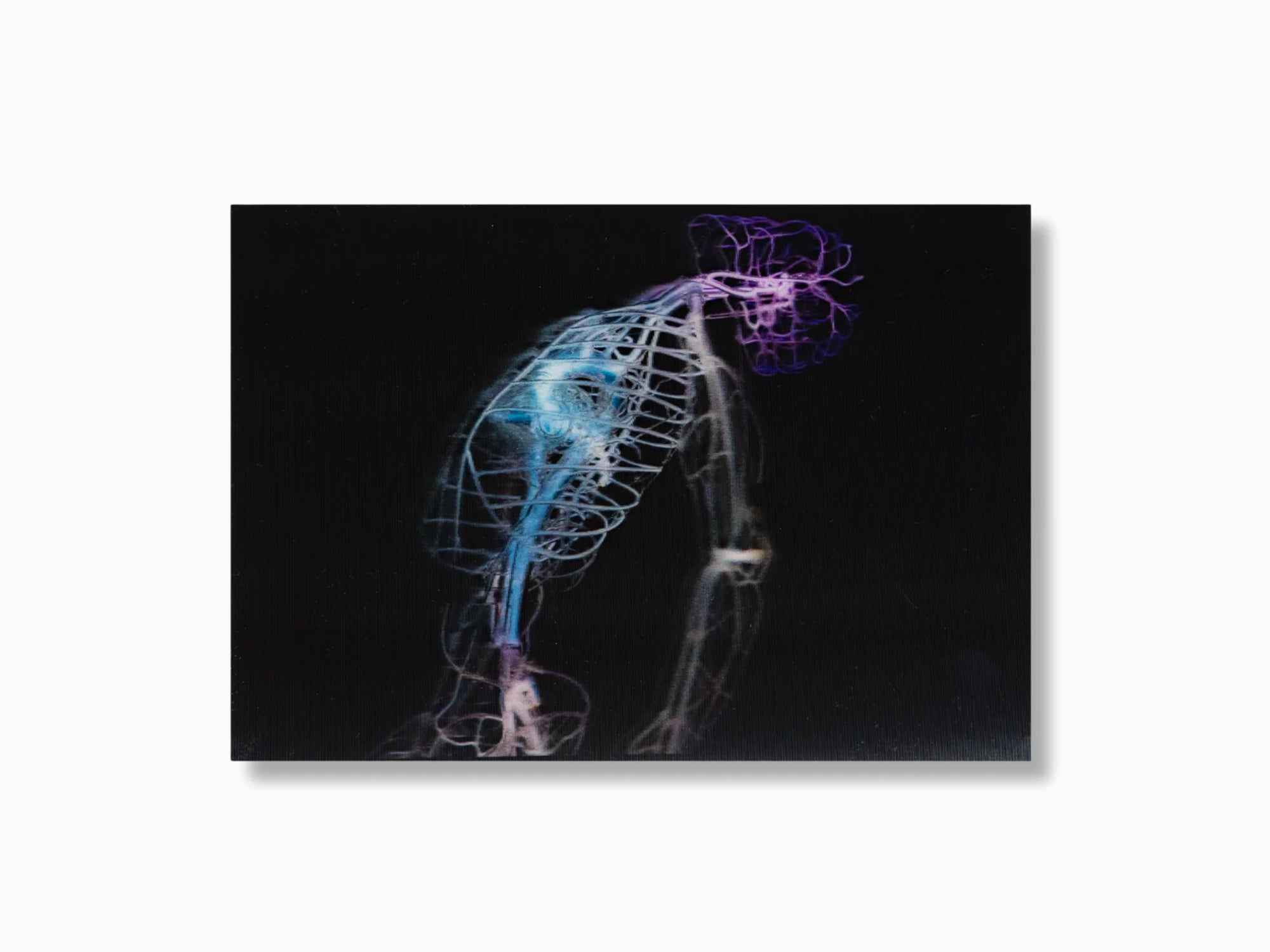 Tavares Strachan - Robert Lenticular postcard