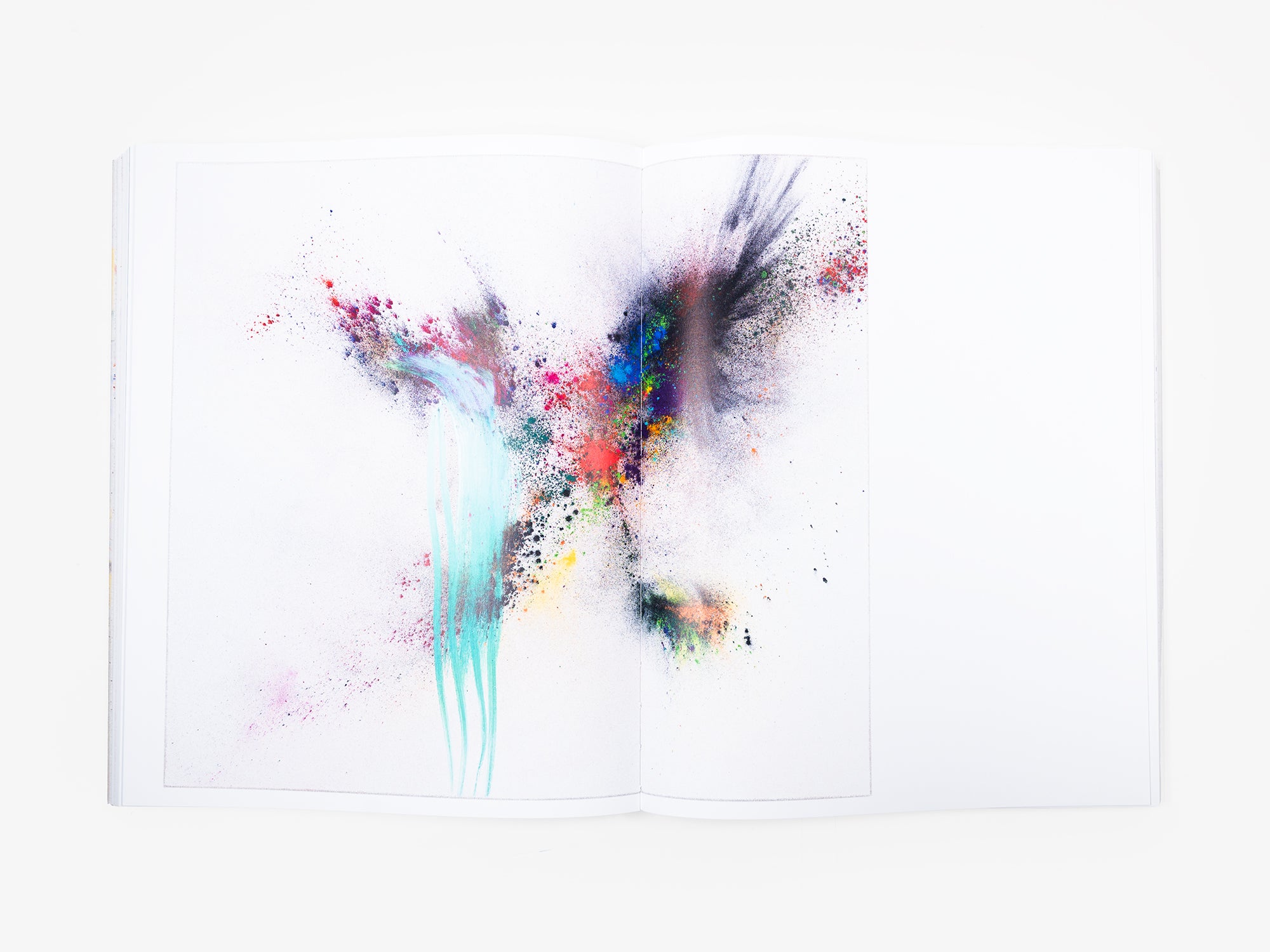 Thilo Heinzmann - Monograph