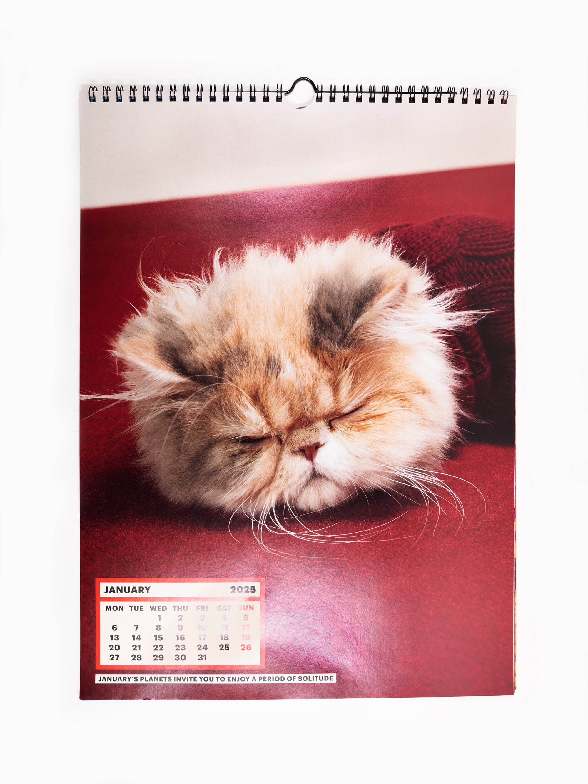 Toiletpaper - 2025 Calendar