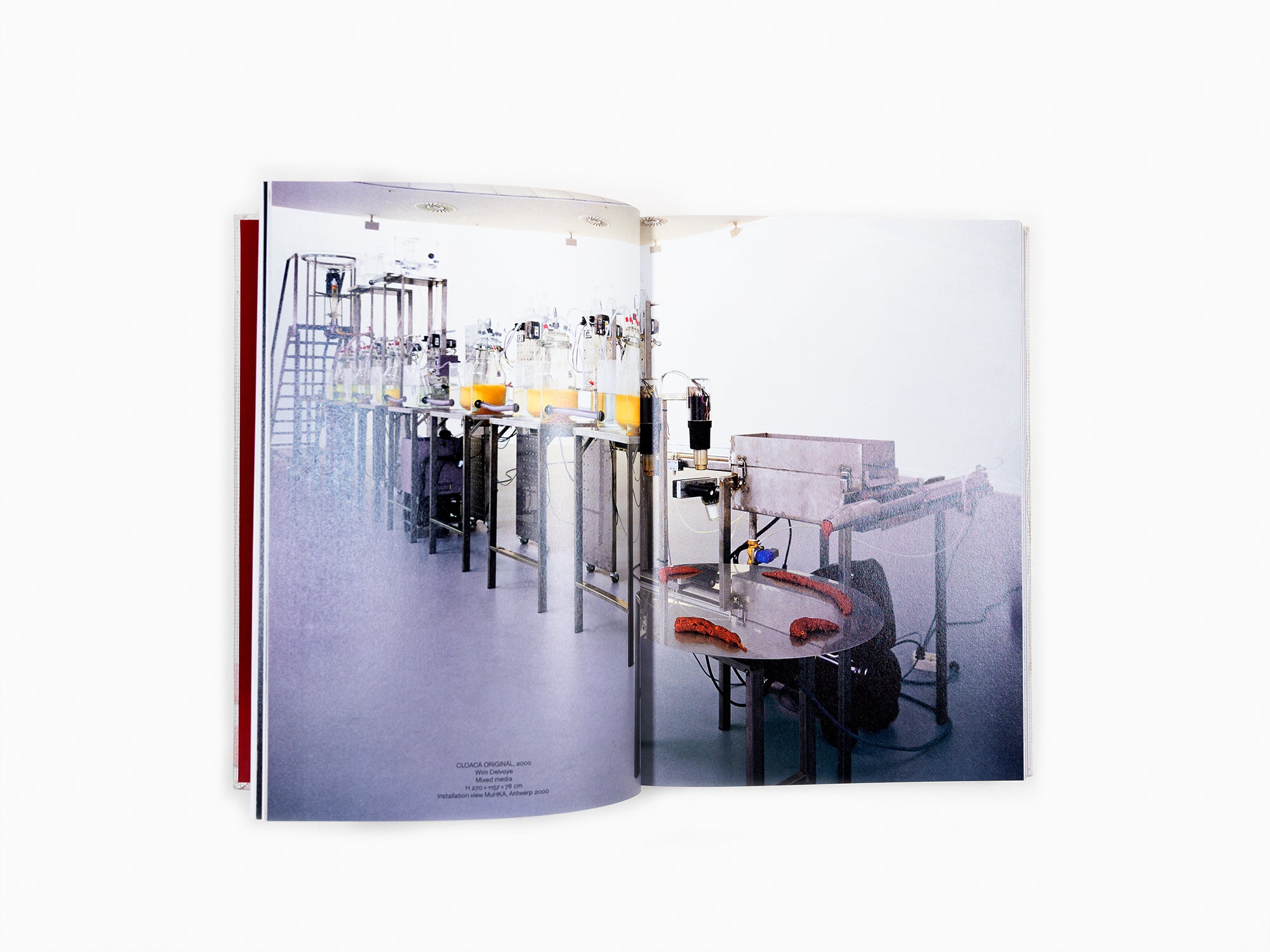 The Order of Things - Carte blanche to Wim Delvoye