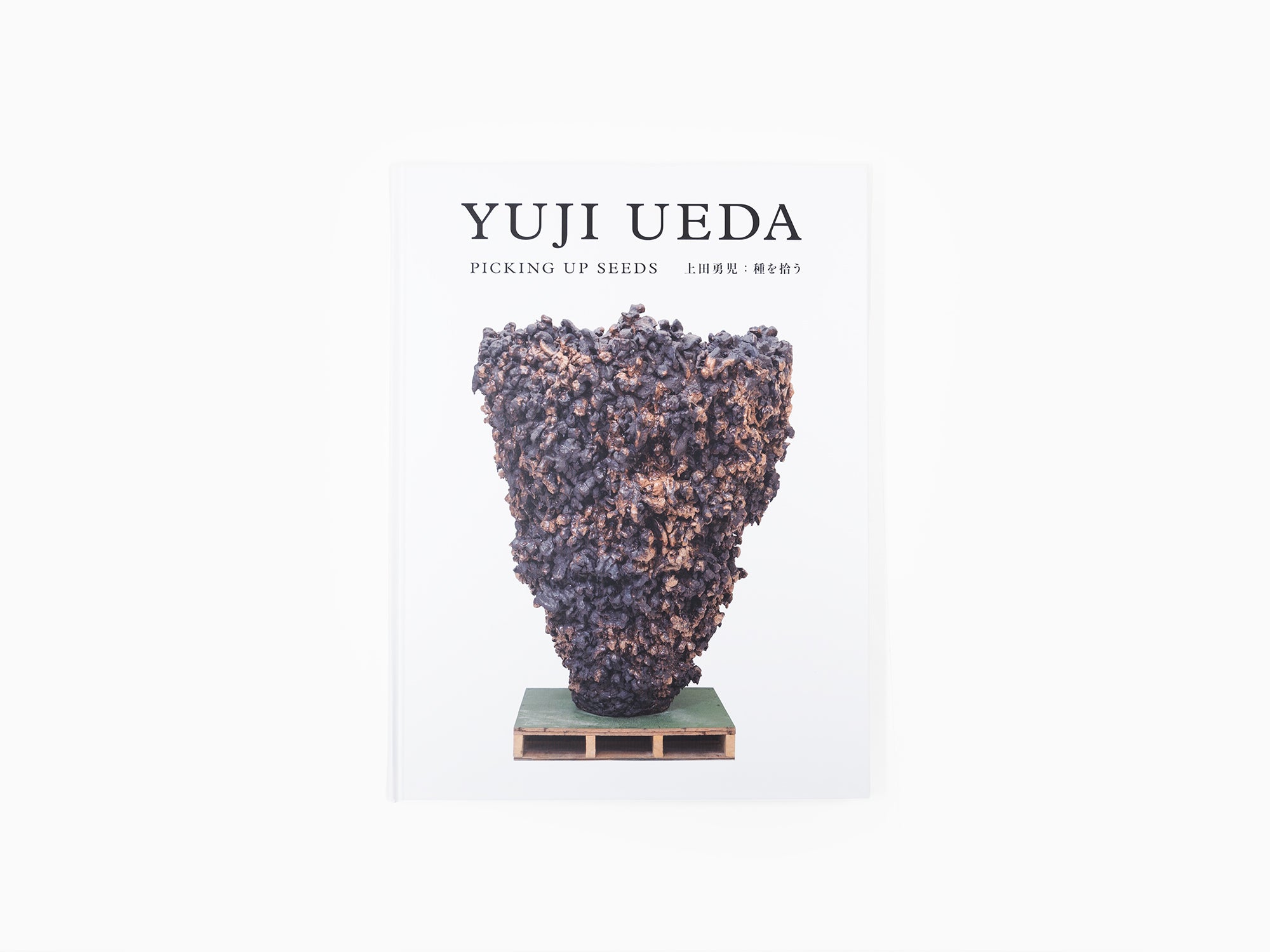 Yuji Ueda - Picking Up Seeds