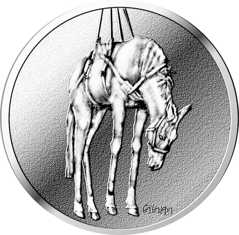 Maurizio Cattelan - Medaille Novecento - Cheval