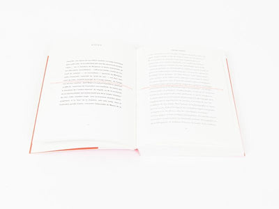 Dominique Pasqualini - Ton oeil ardent - Musee Ni Ni