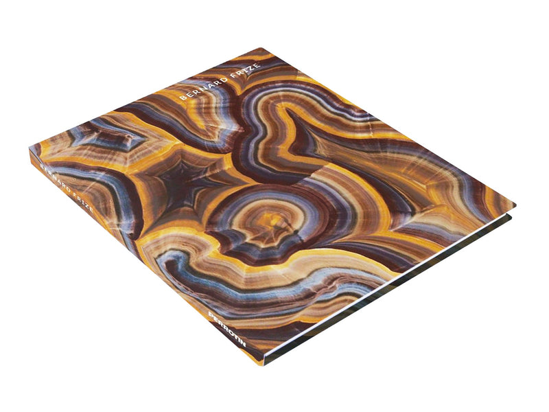 Bernard FRIZE - Catalogue GEP 2014