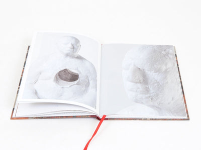 Bharti Kher - This Breathing House