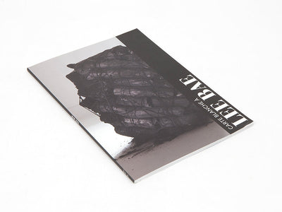 Lee Bae - Carte blanche a Lee Bae (Musee Guimet)