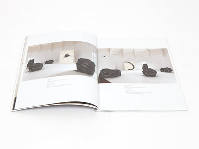 Lee Bae - Carte blanche a Lee Bae (Musee Guimet)