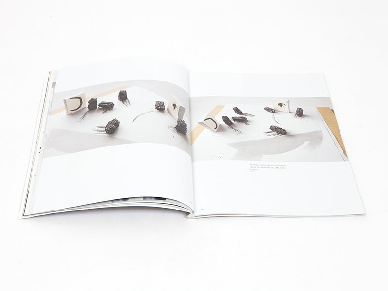 Lee Bae - Carte blanche a Lee Bae (Musee Guimet)