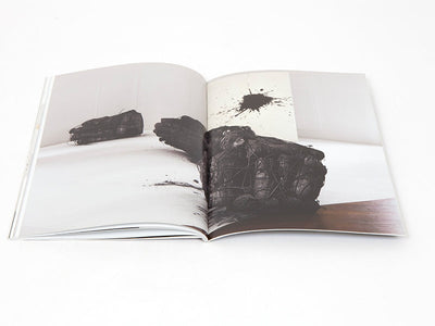 Lee Bae - Carte blanche a Lee Bae (Musee Guimet)