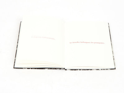 Sophie Calle - Les fanfares de circonstance