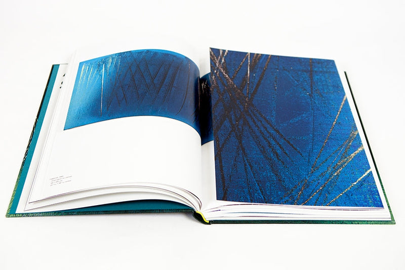 Hans Hartung - A constant storm (cat GEP)