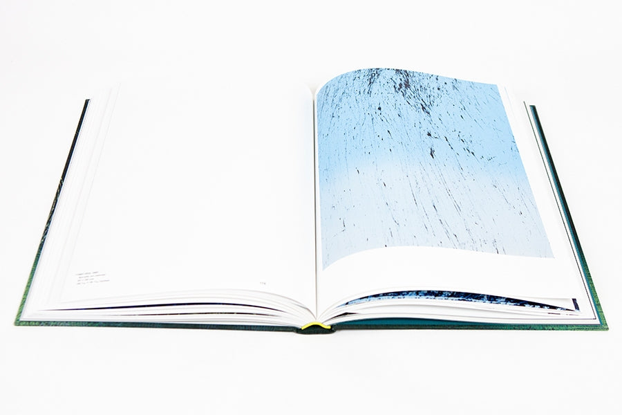 Hans Hartung - A constant storm (cat GEP)