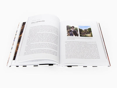 Nobuo Tsuji vs. Takashi Murakami - Battle Royale! Japanese Art History