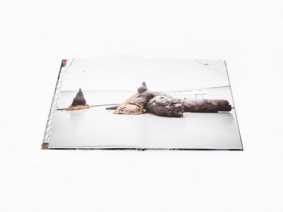 Gelatin/Gelitin - Vorm - Fellows - Attitude