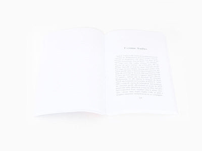Anne Sauvageot - Sophie Calle, l'art cameleon