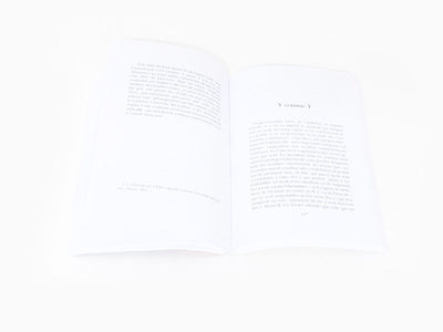 Anne Sauvageot - Sophie Calle, l'art cameleon