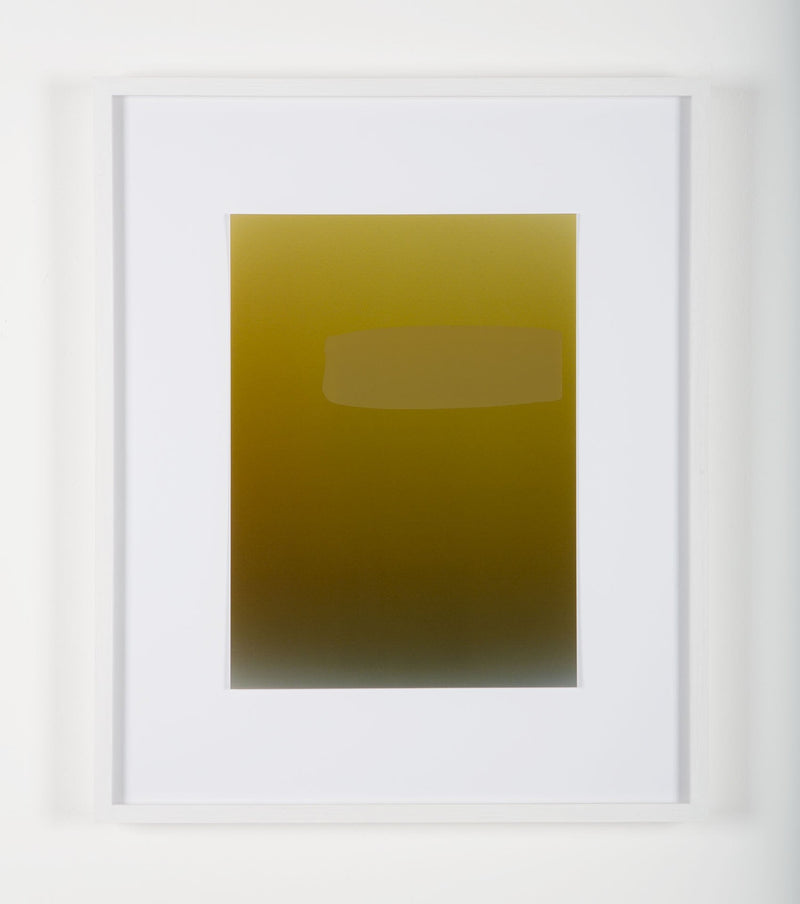Pieter VERMEERSCH - Untitled 2012 (C-print & green silkscreen), framed