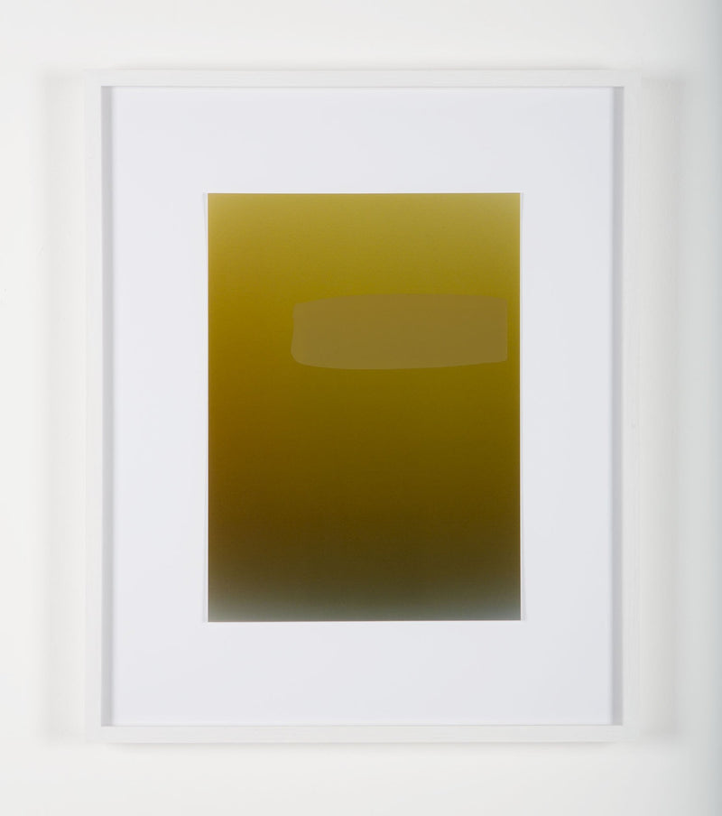 Pieter VERMEERSCH - Untitled (C print et sérigraphie khaki)