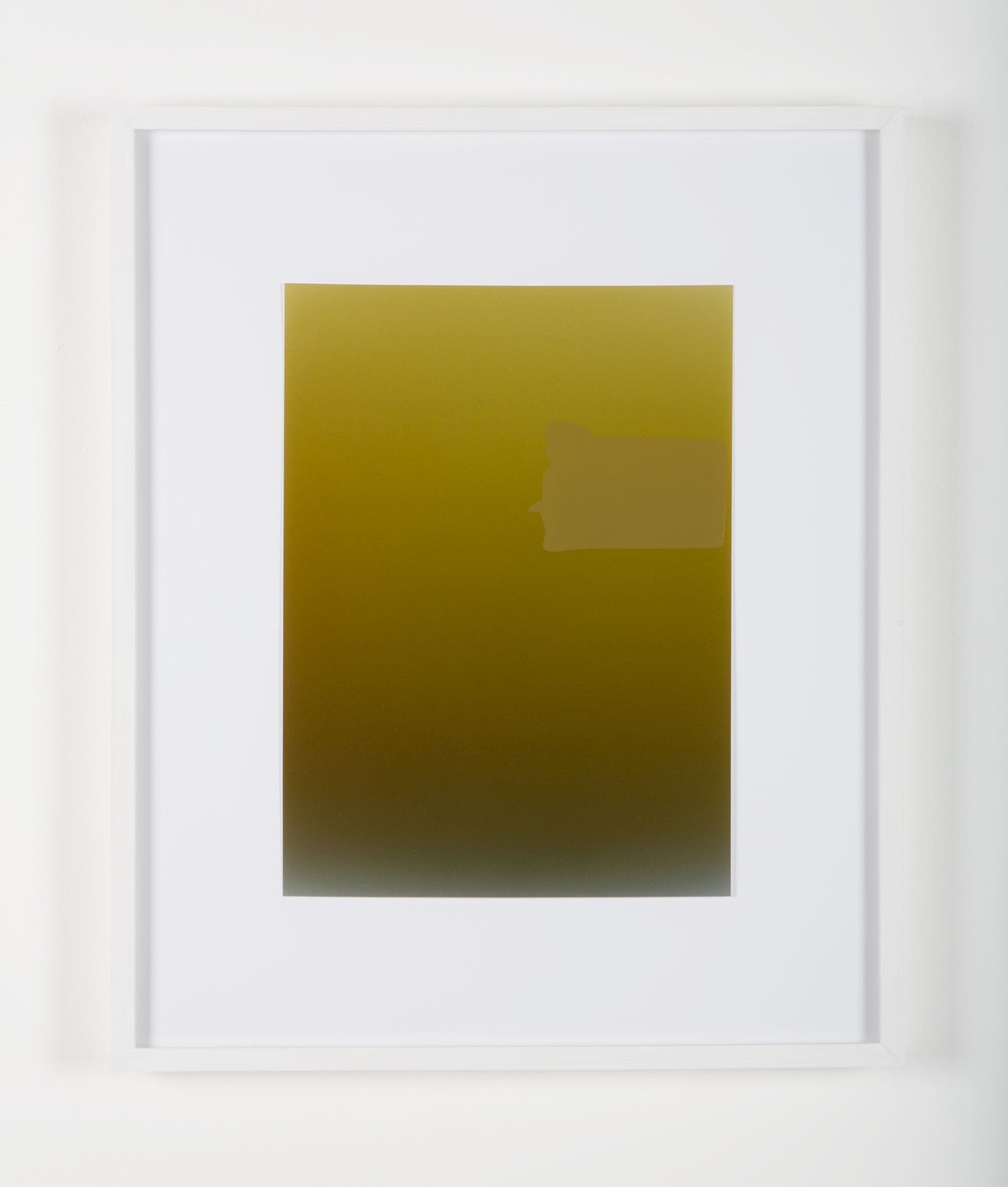 Pieter VERMEERSCH - Untitled (C print et sérigraphie khaki)