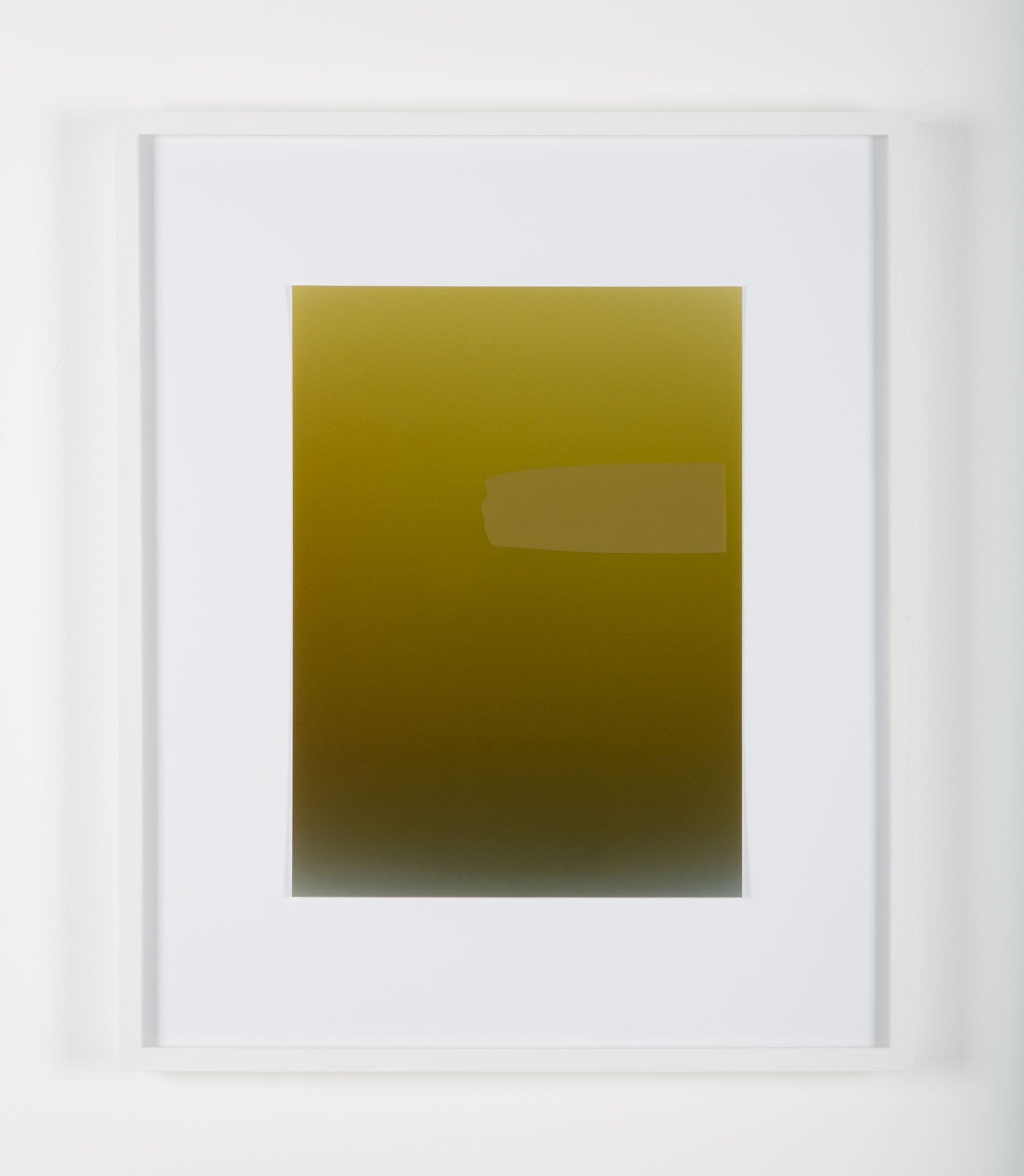 Pieter VERMEERSCH - Untitled (C print et sérigraphie khaki)